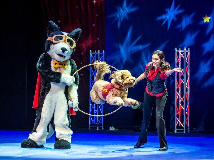 Perondi's Stunt Dog Experience Image